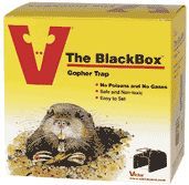 blackbox_trap.jpg